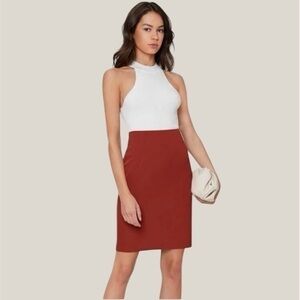 5/$15 | Shein | Hight Waisted Pencil Skirt | NWOT
